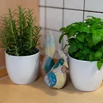 Huber * オールスバッハ