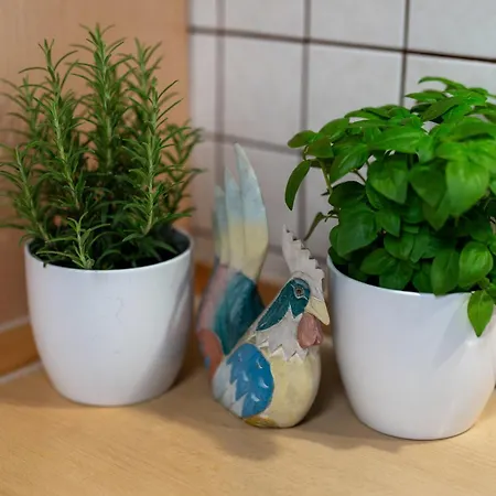 Huber Apartament *
